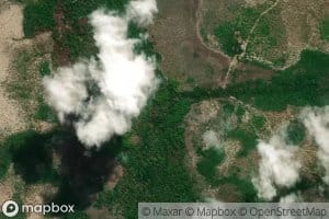 Morichal El Cogollal