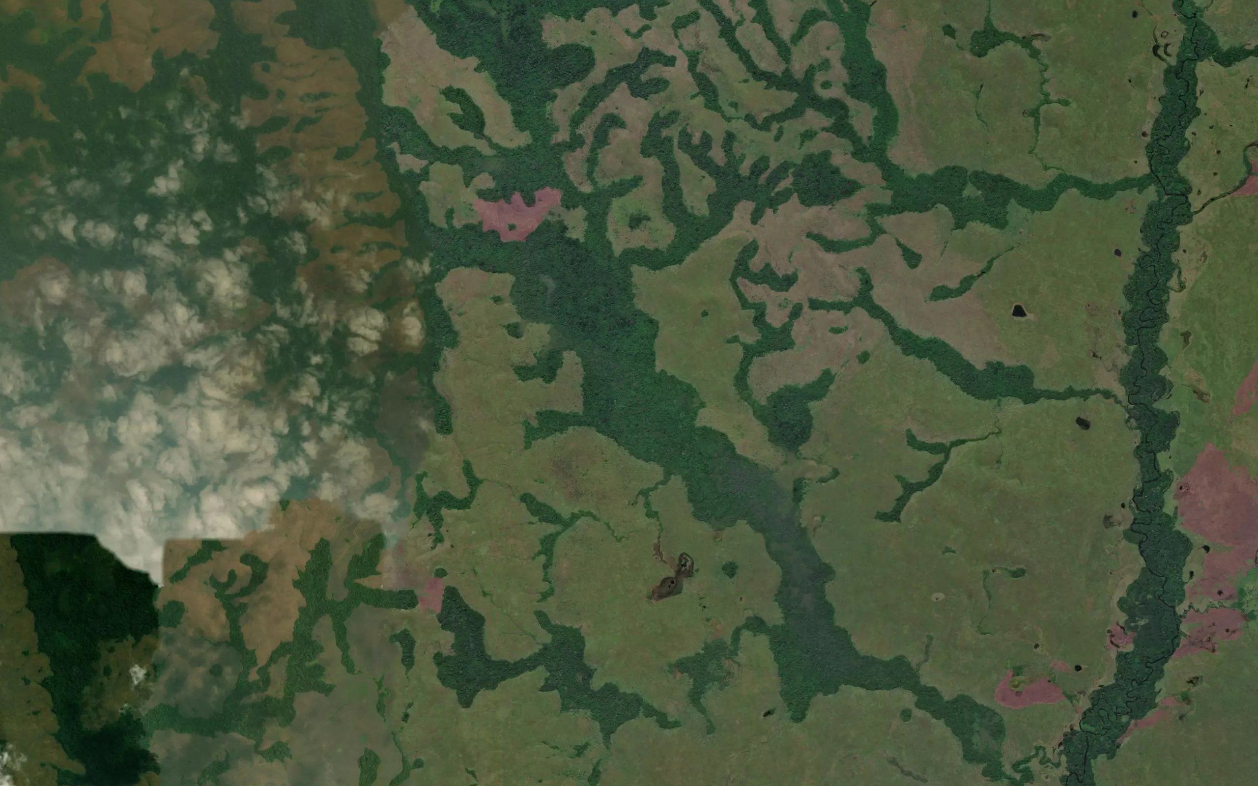Maunzo