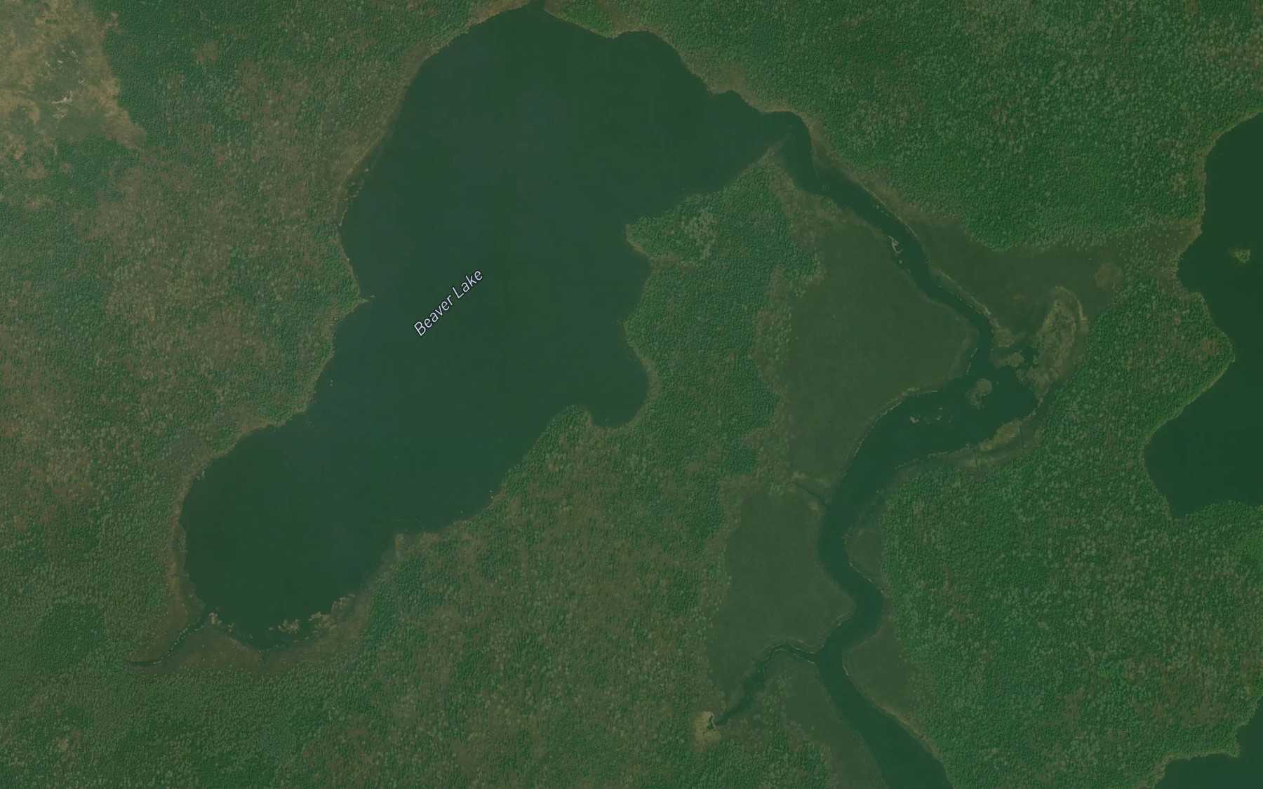 Satellite map of the Beaver Lake