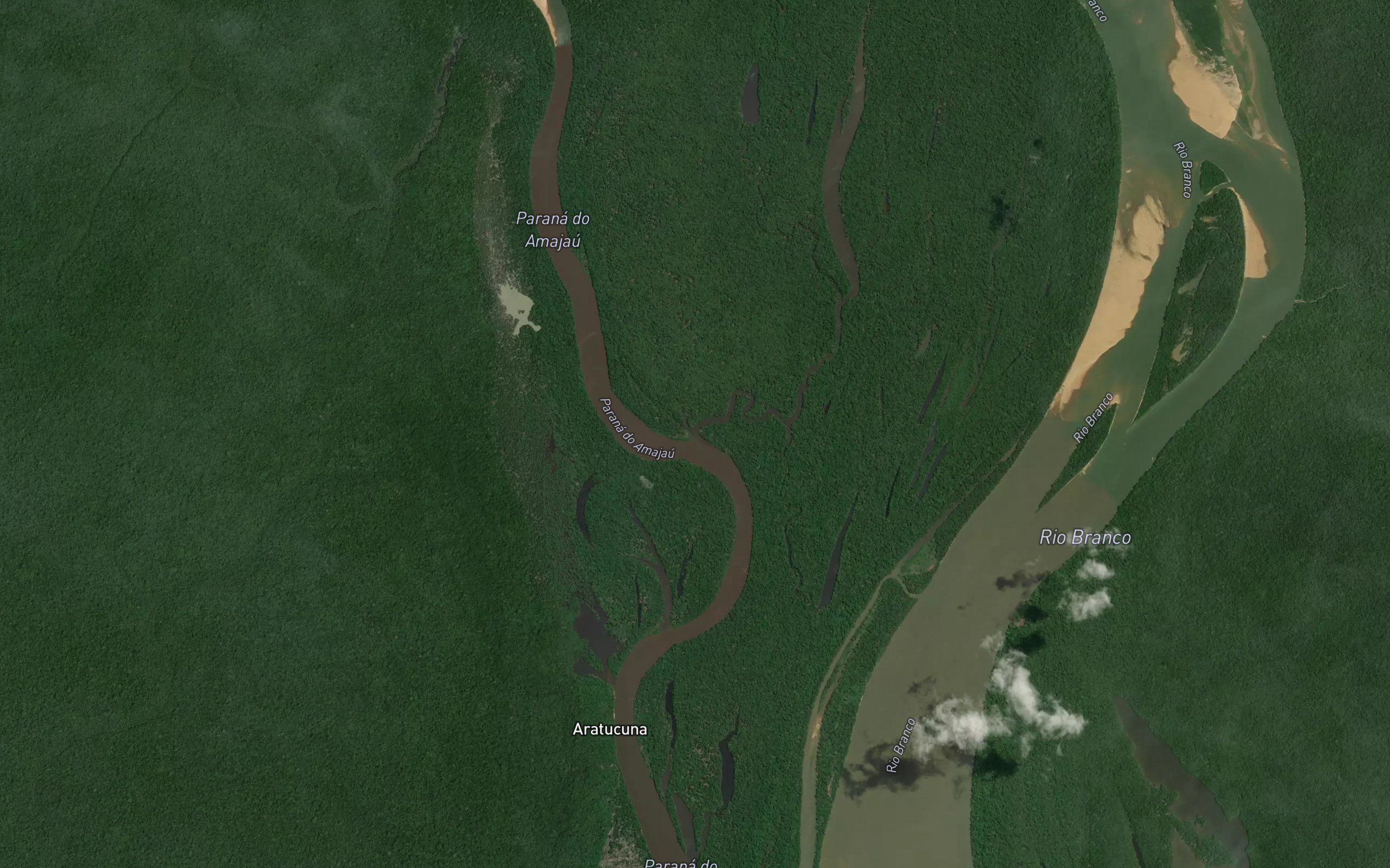 Parana Puacu