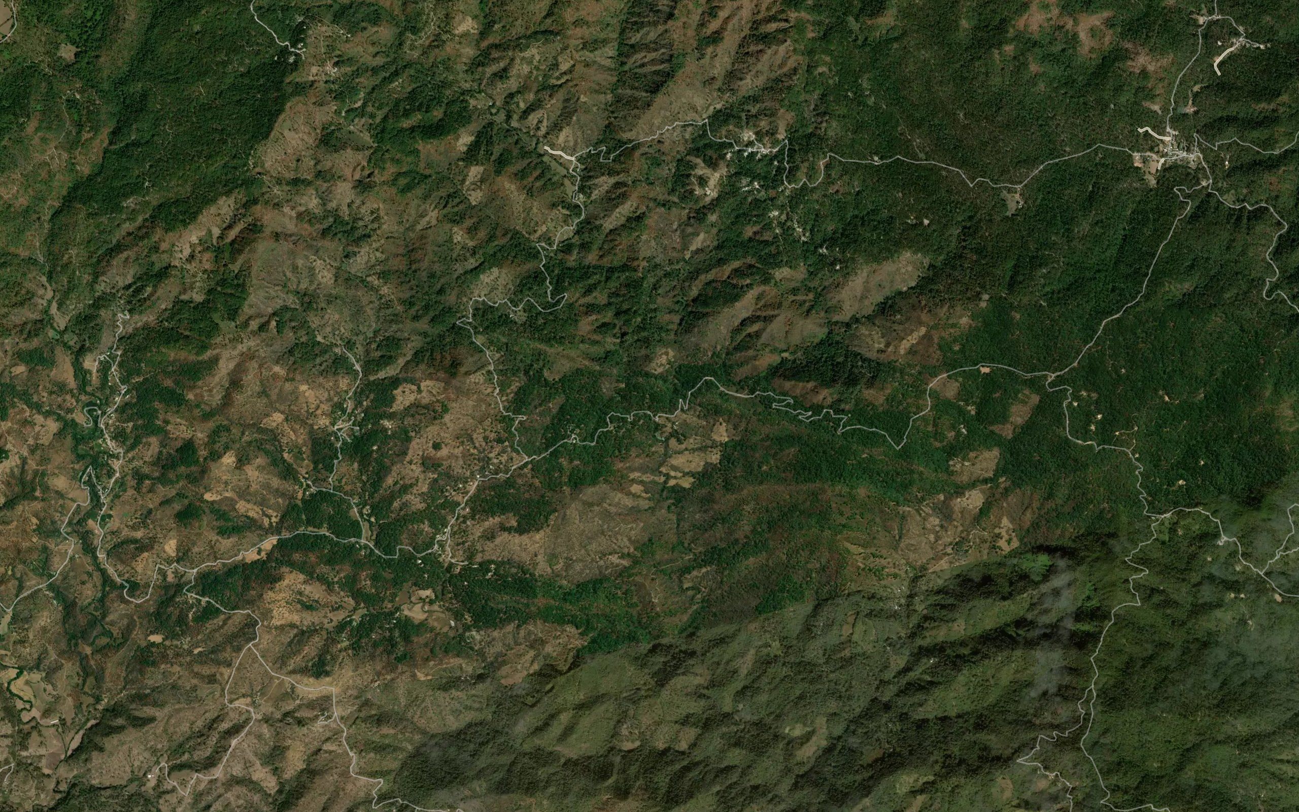 Los Nogales