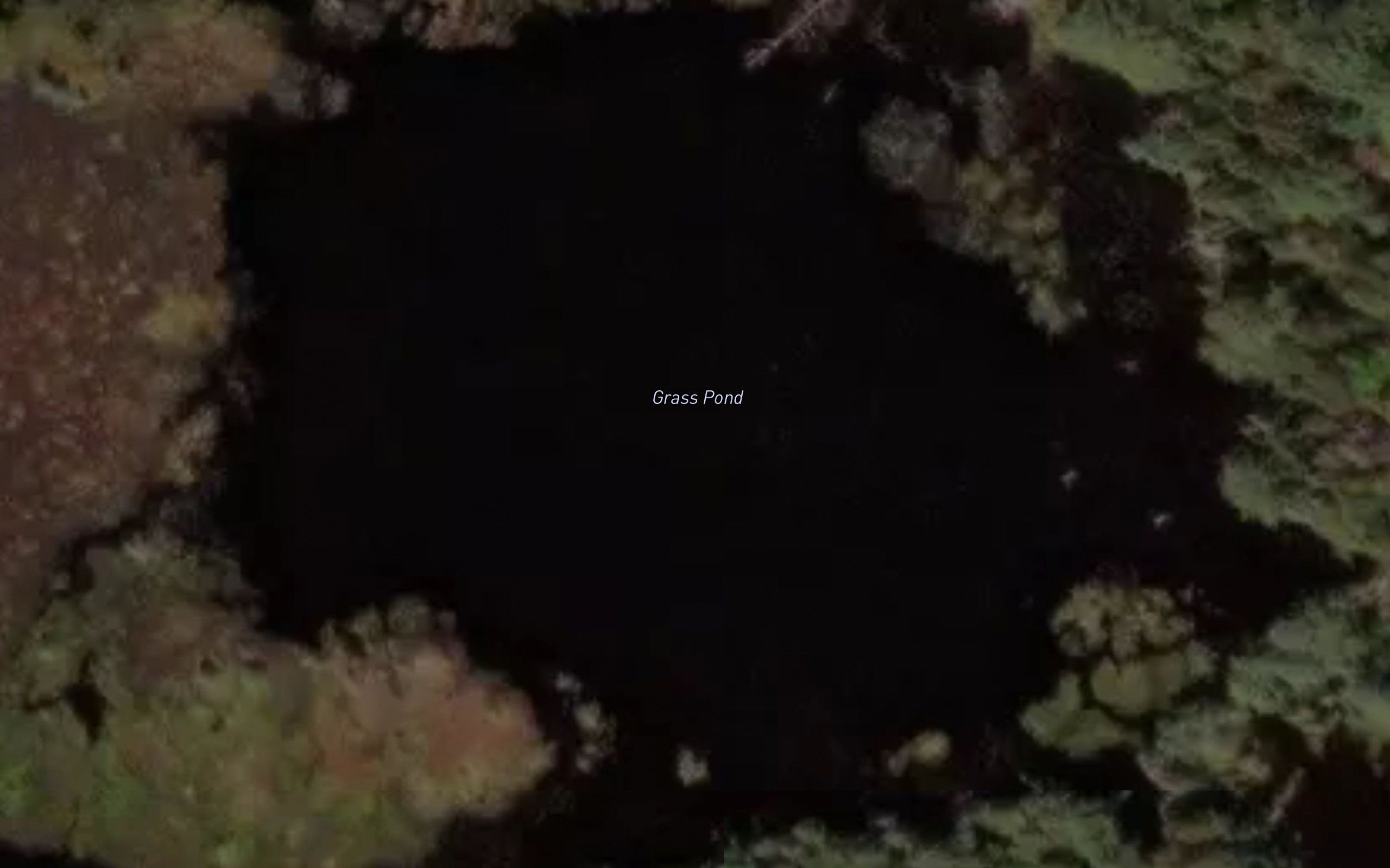 Grass Pond