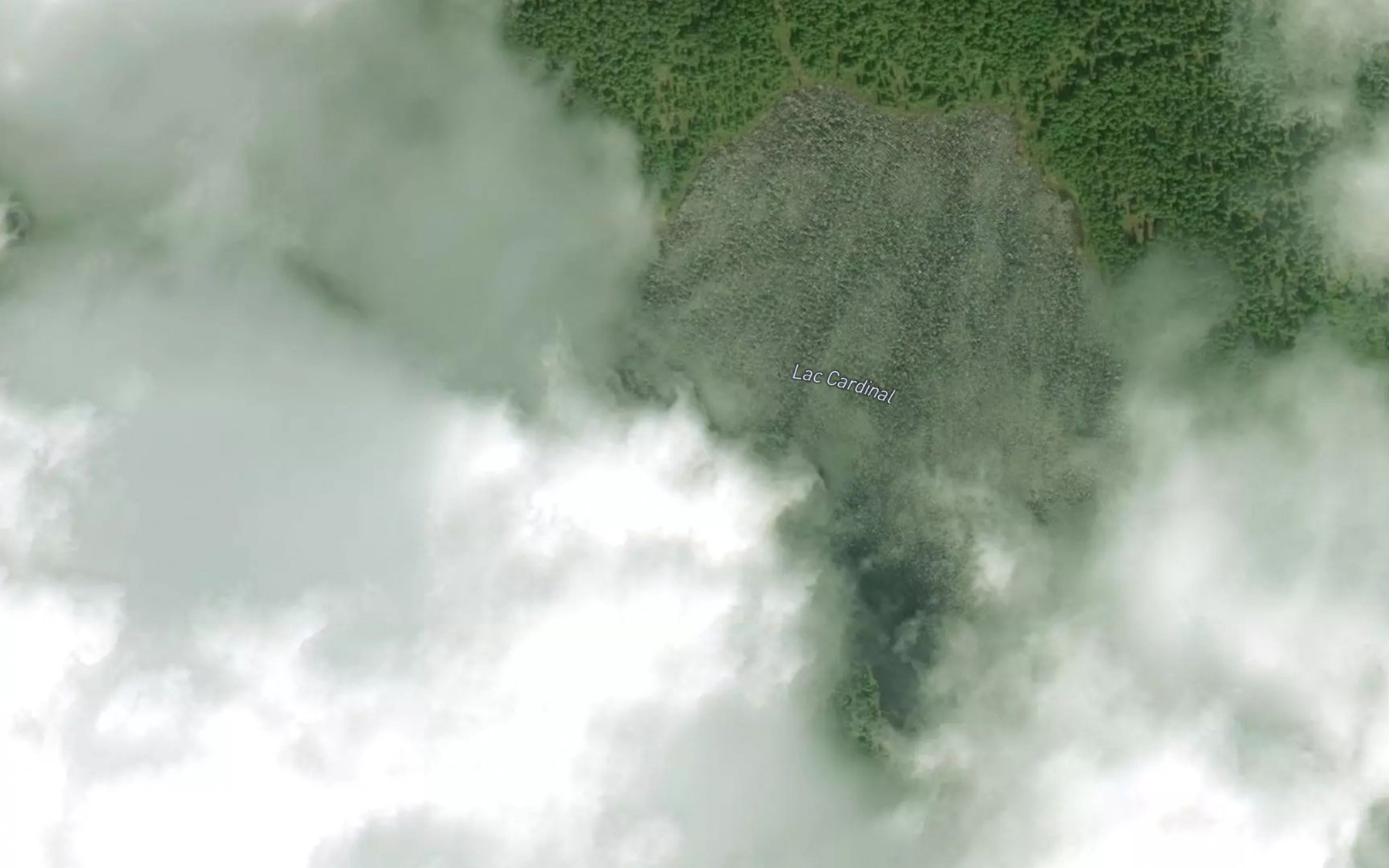 Satellite map of the Lac Cardinal