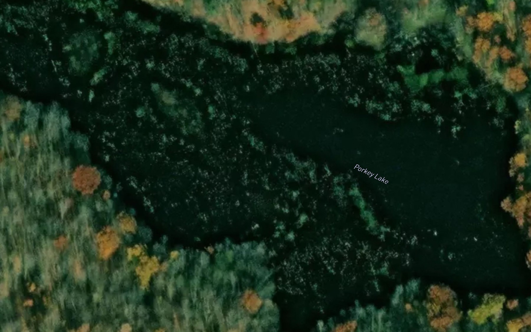 Satellite map of the Porkey Lake
