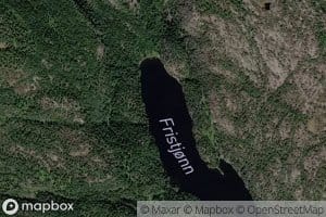 Fristjorn
