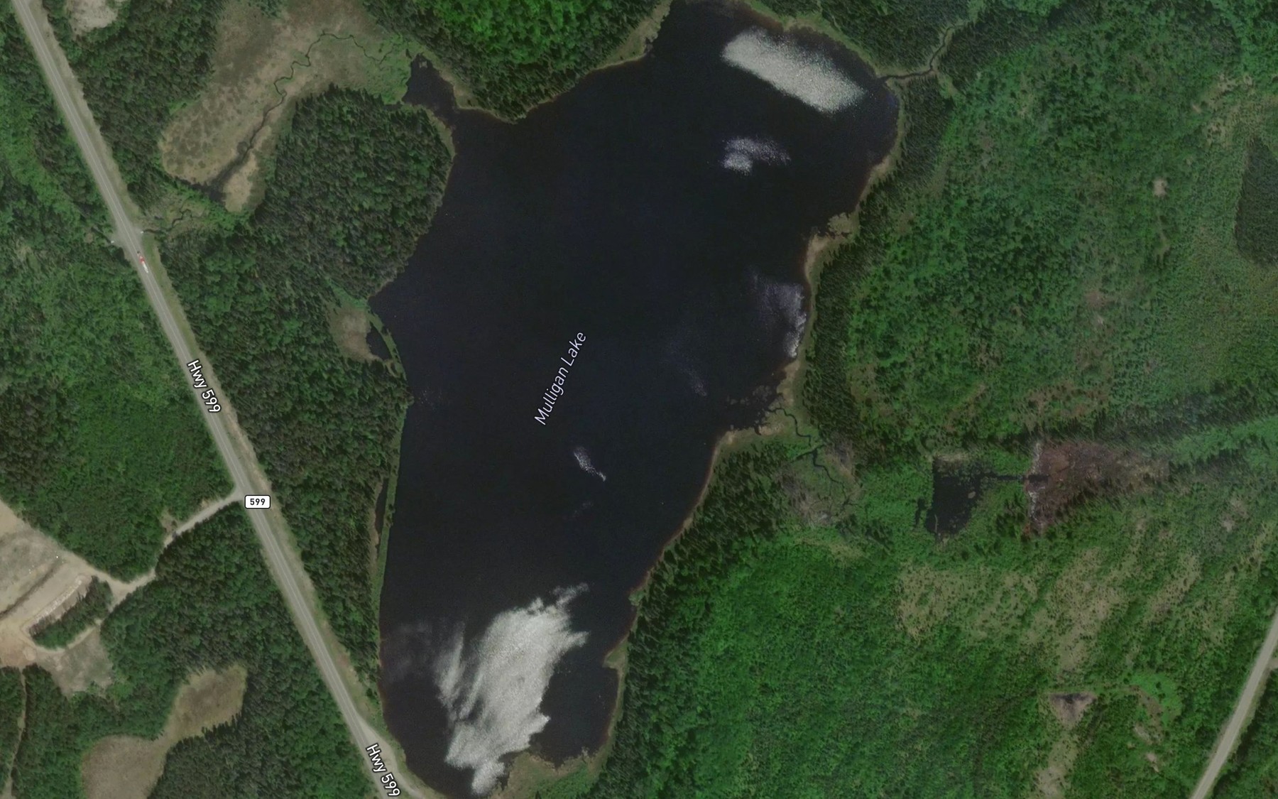 Satellite map of the Mulligan Lake