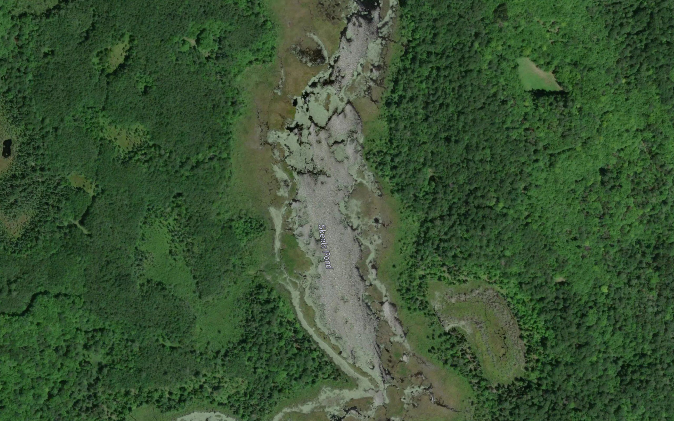 Skeels Pond