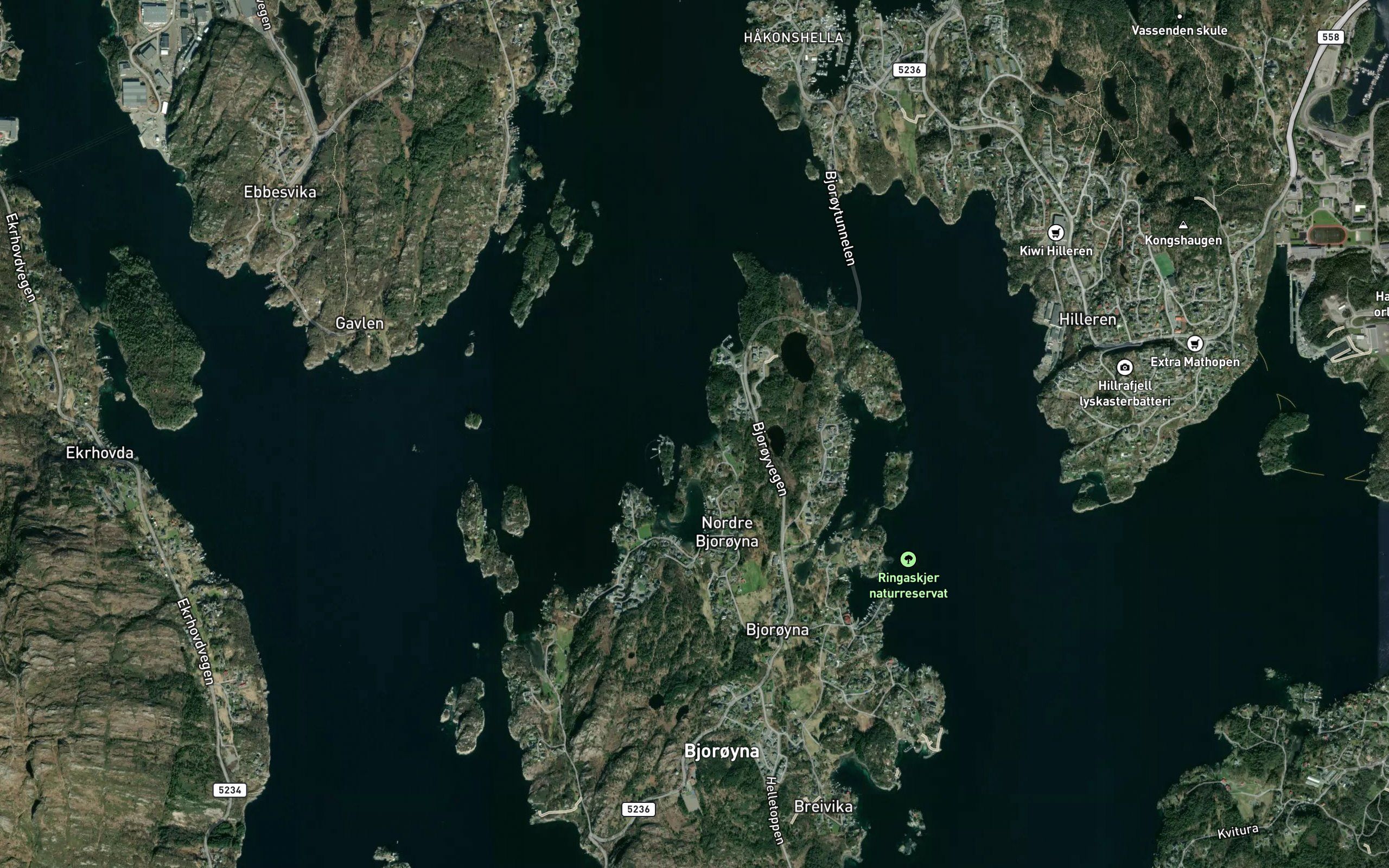 Katlavika