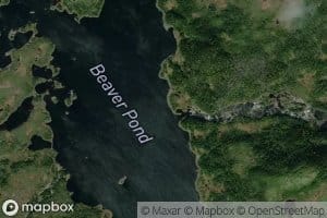 Beaver Pond
