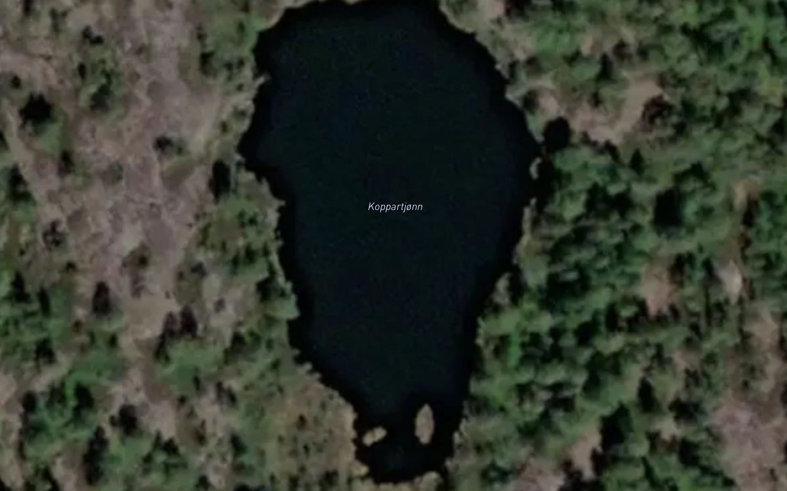 Koppartjorn