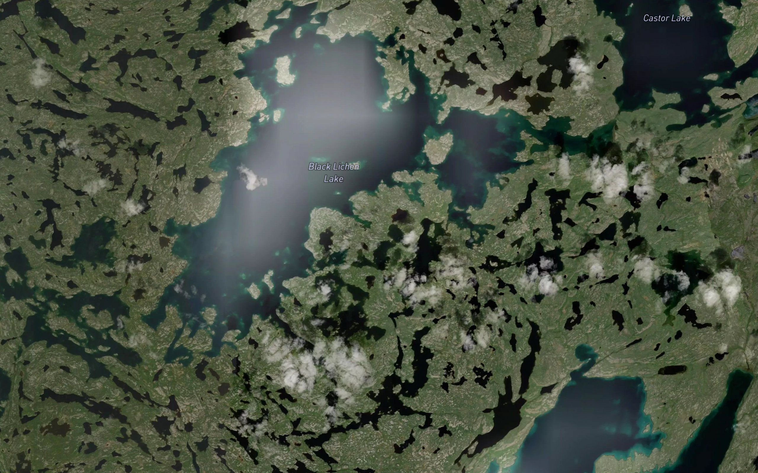 Black Lichen Lake