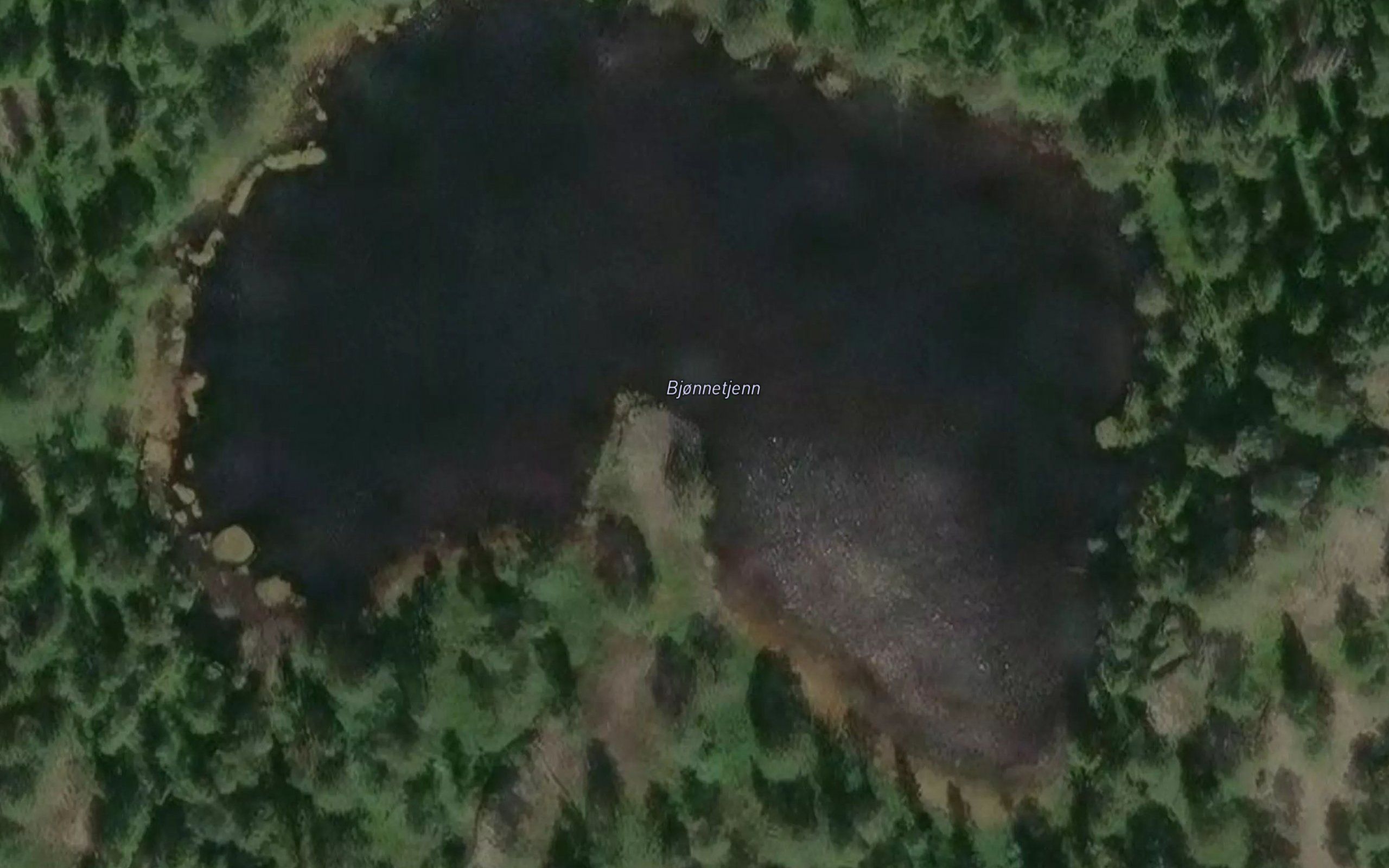 Bjornetjern