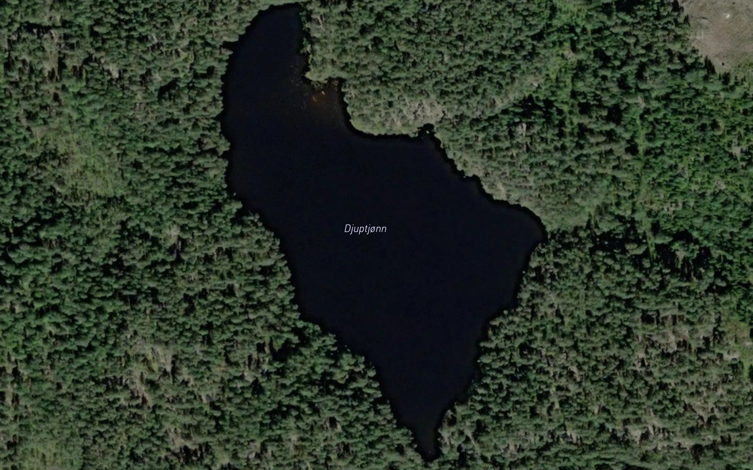 Djuptjorn