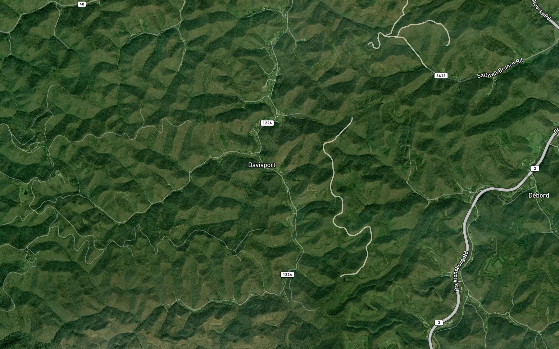 Satellite map of the Lower Heights Branch