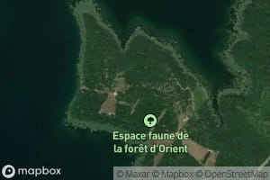 Etang de la Morge des Bois