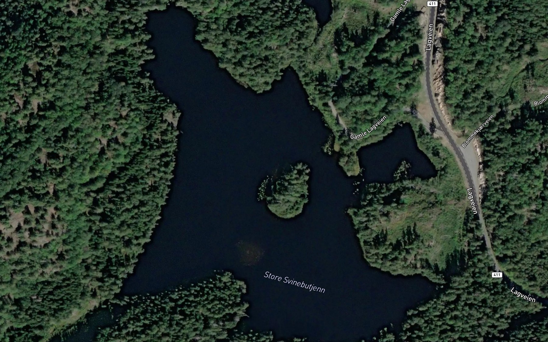 Satellite map of the Store Svinebutjenn