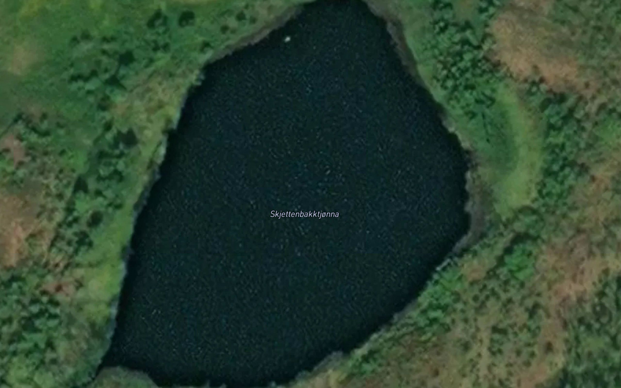 Skjettenbakktjonna