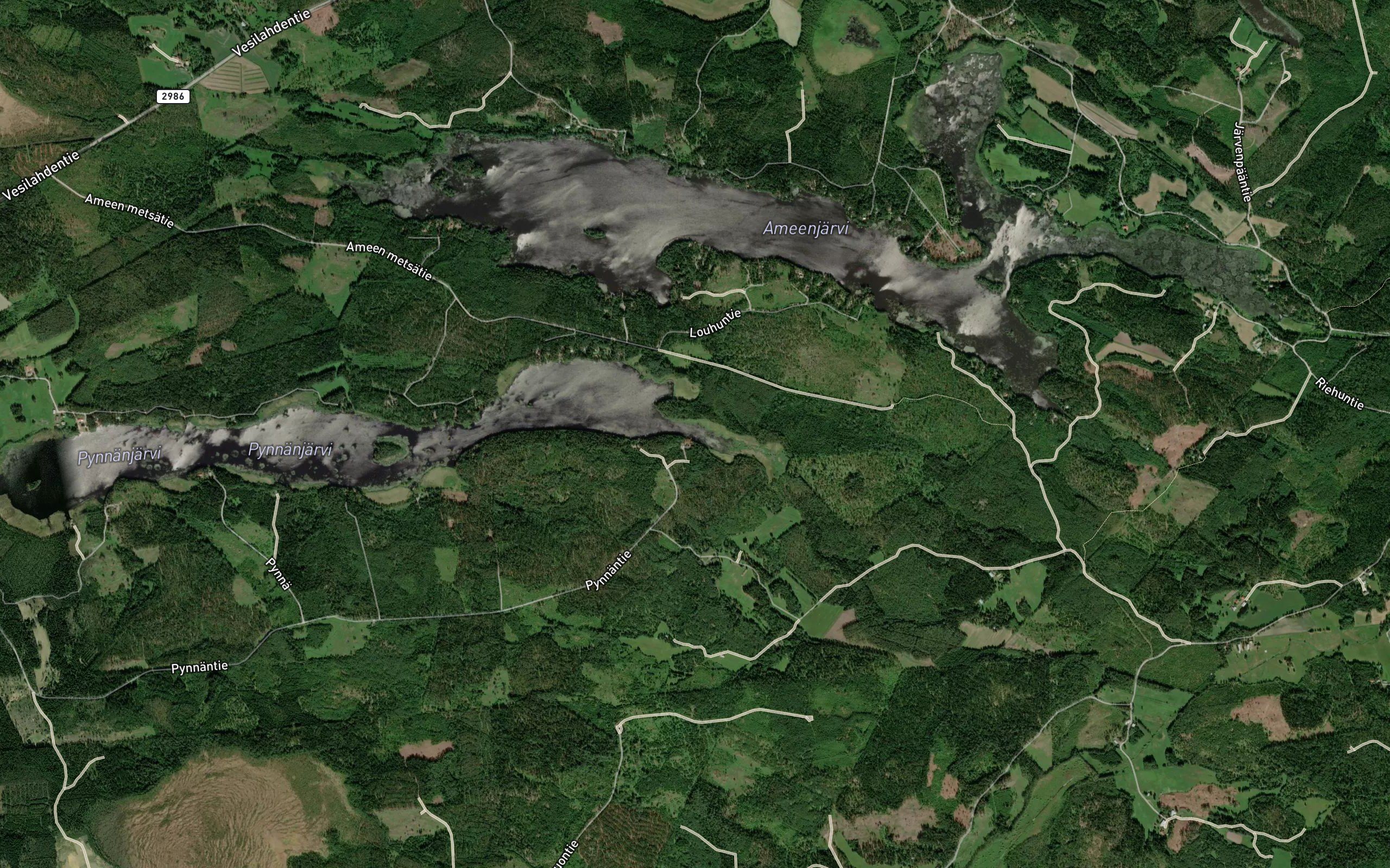 Koivulanlahti