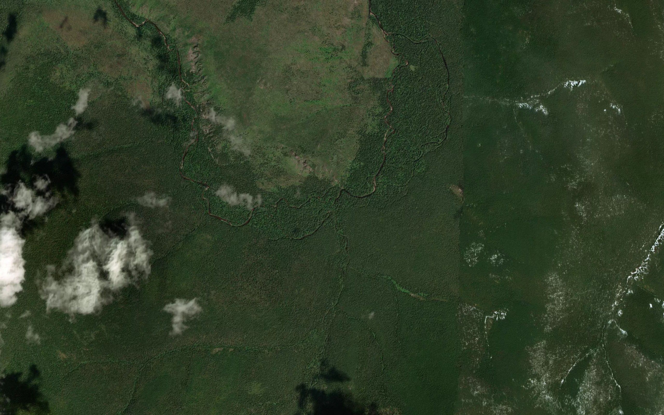 Gniloy Tumanshet