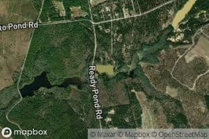 Readys Pond
