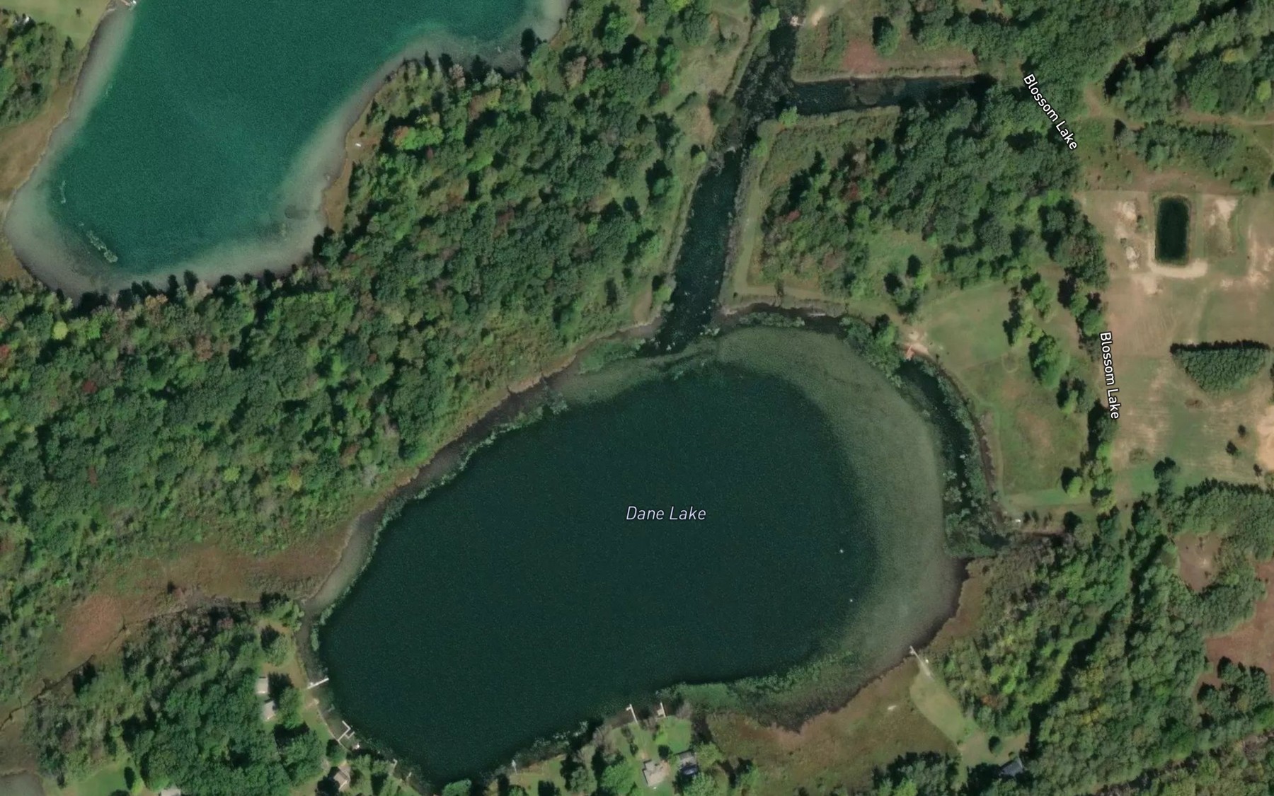 Satellite map of the Dane Lake