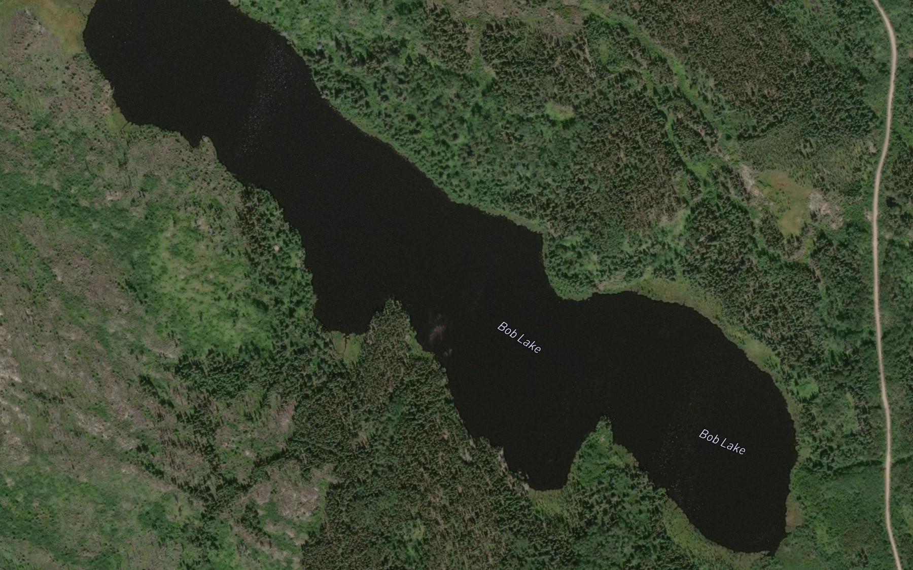Satellite map of the Bob Lake