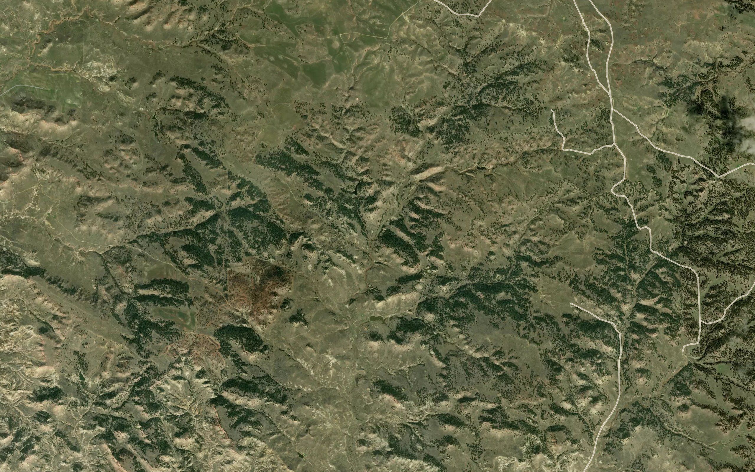 Chimney Springs