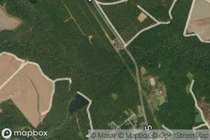 Antley Spring Branch