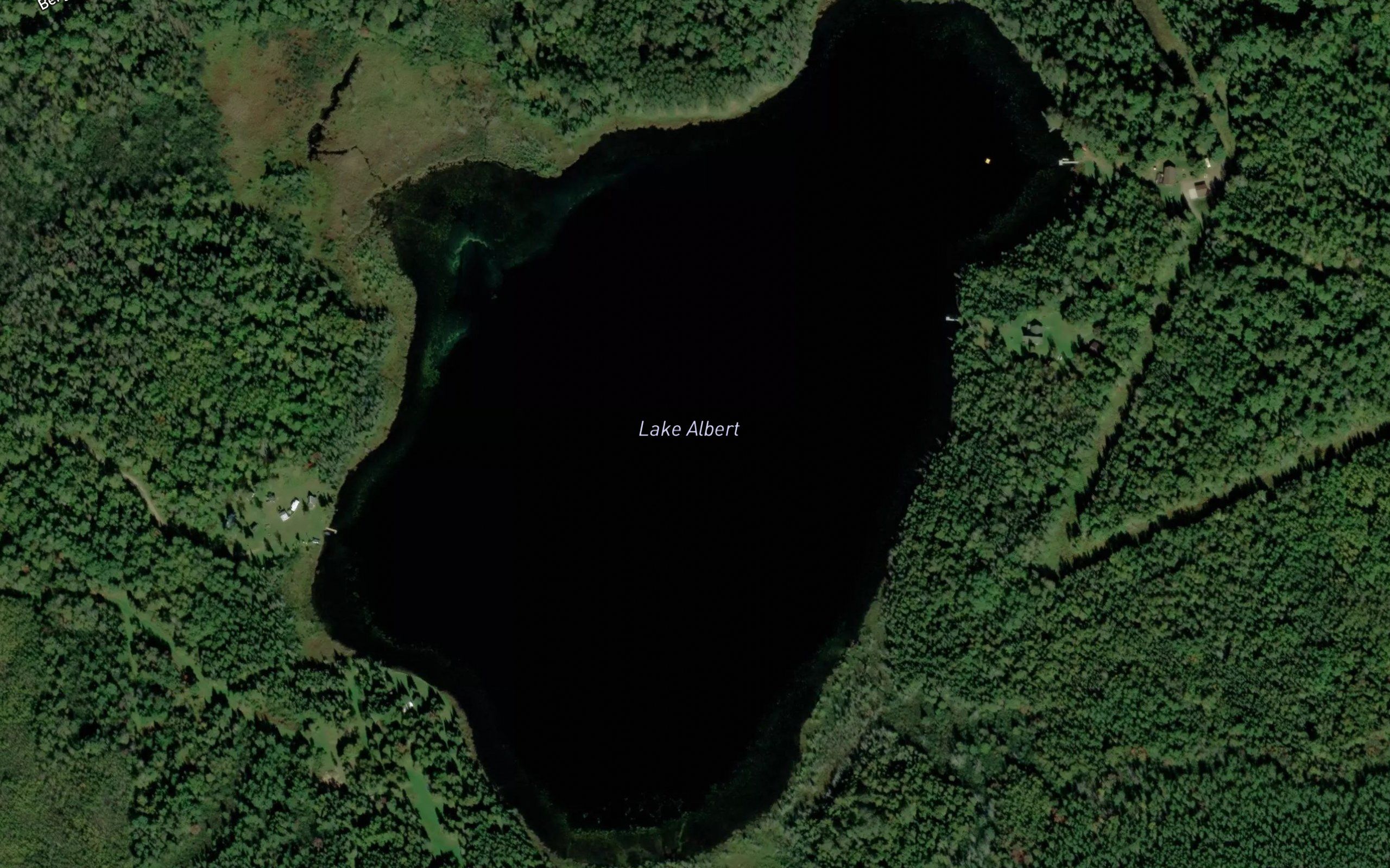 Lake Albert