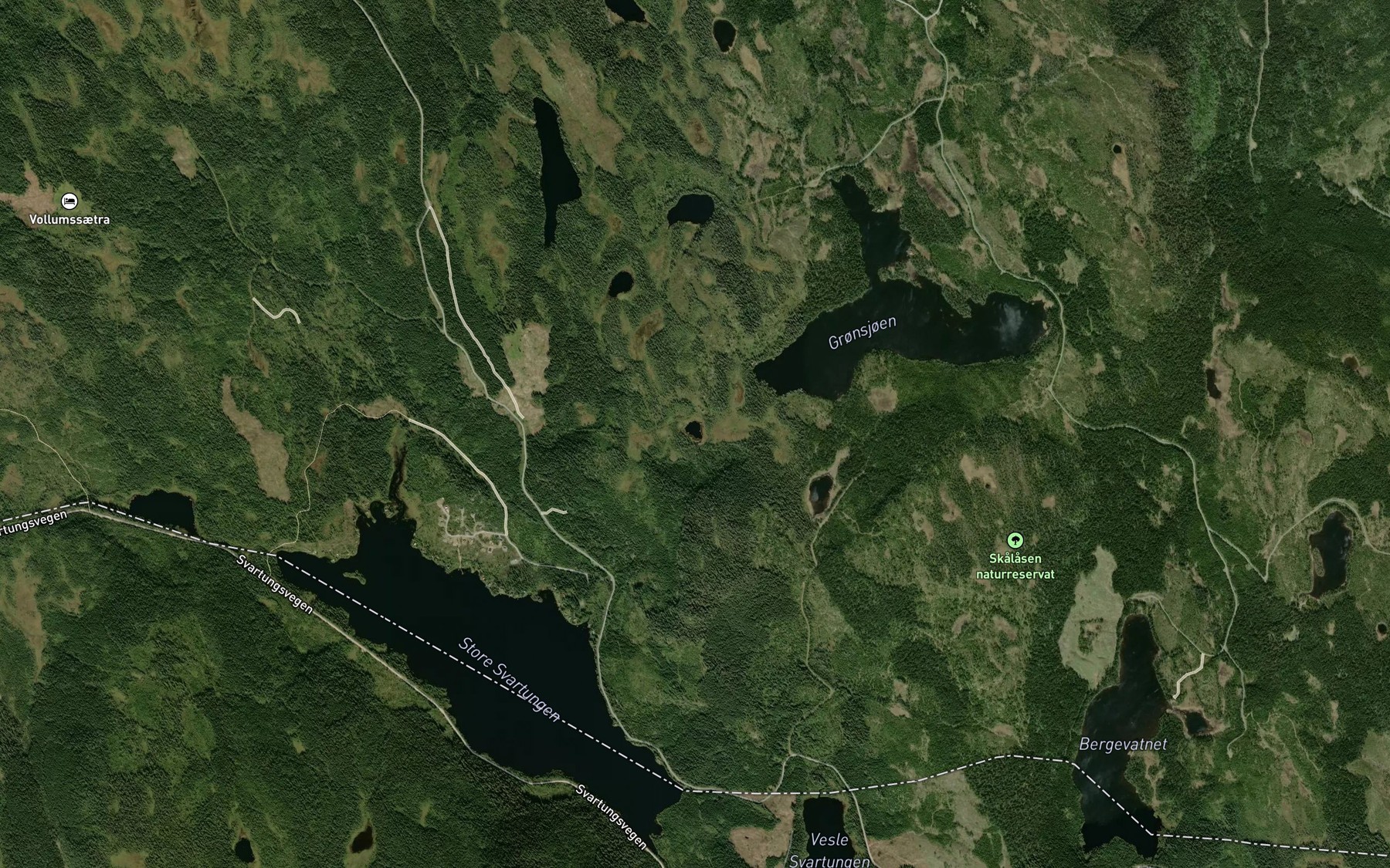Satellite map of the Flisa