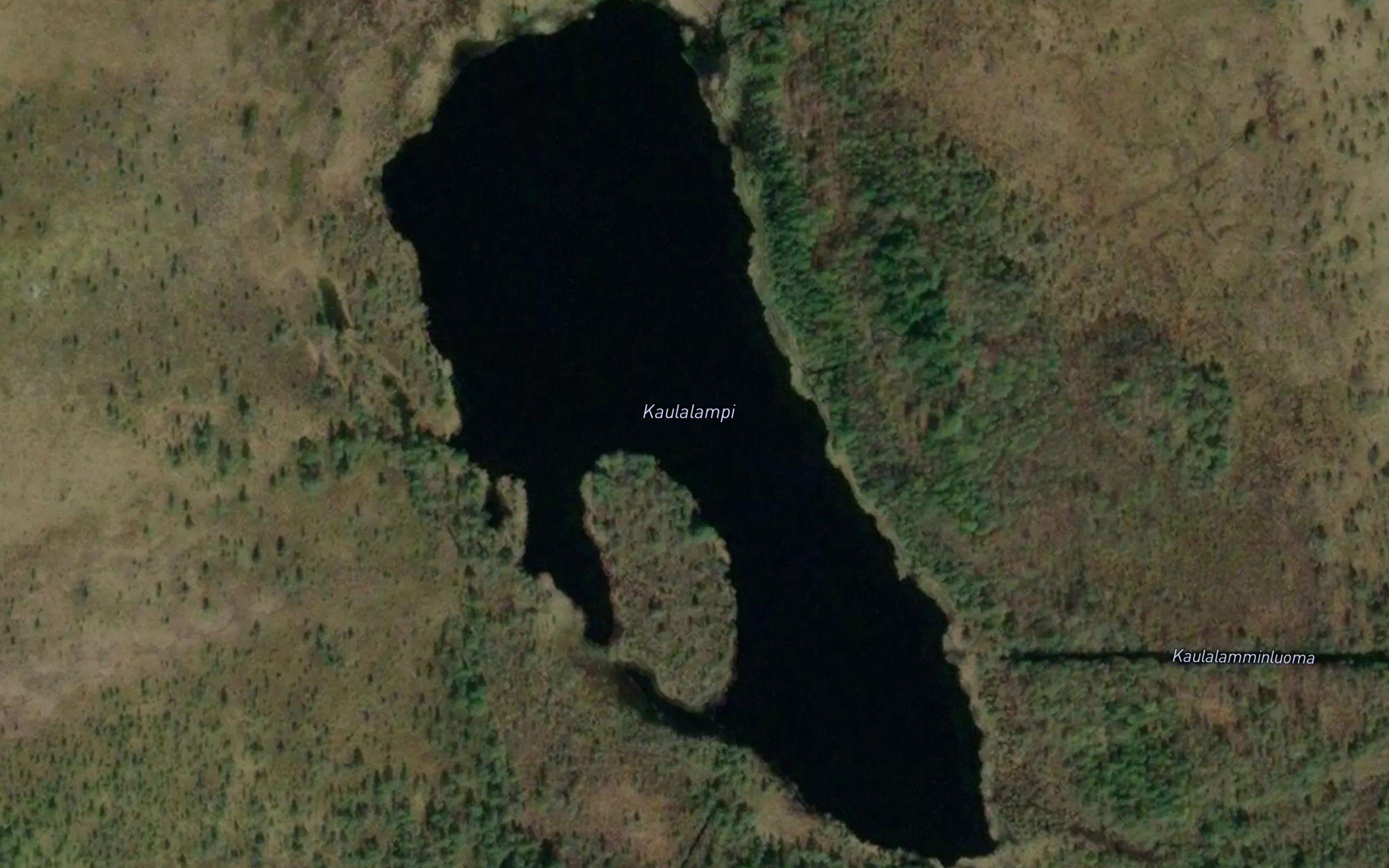 Kaulalampi