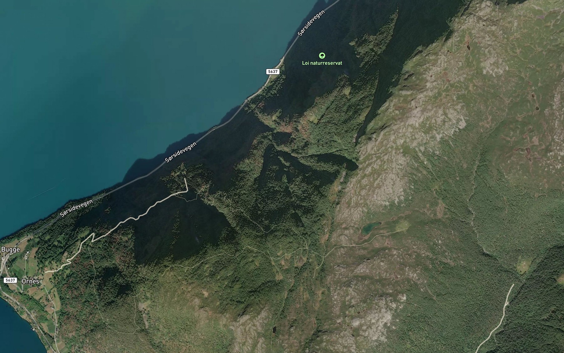 Satellite map of the Logrovi