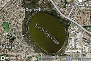 Yangebup Lake