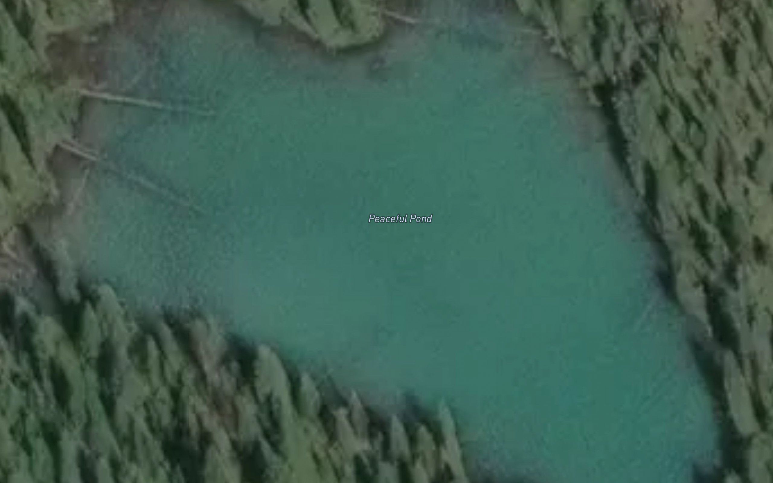 Peaceful Pond