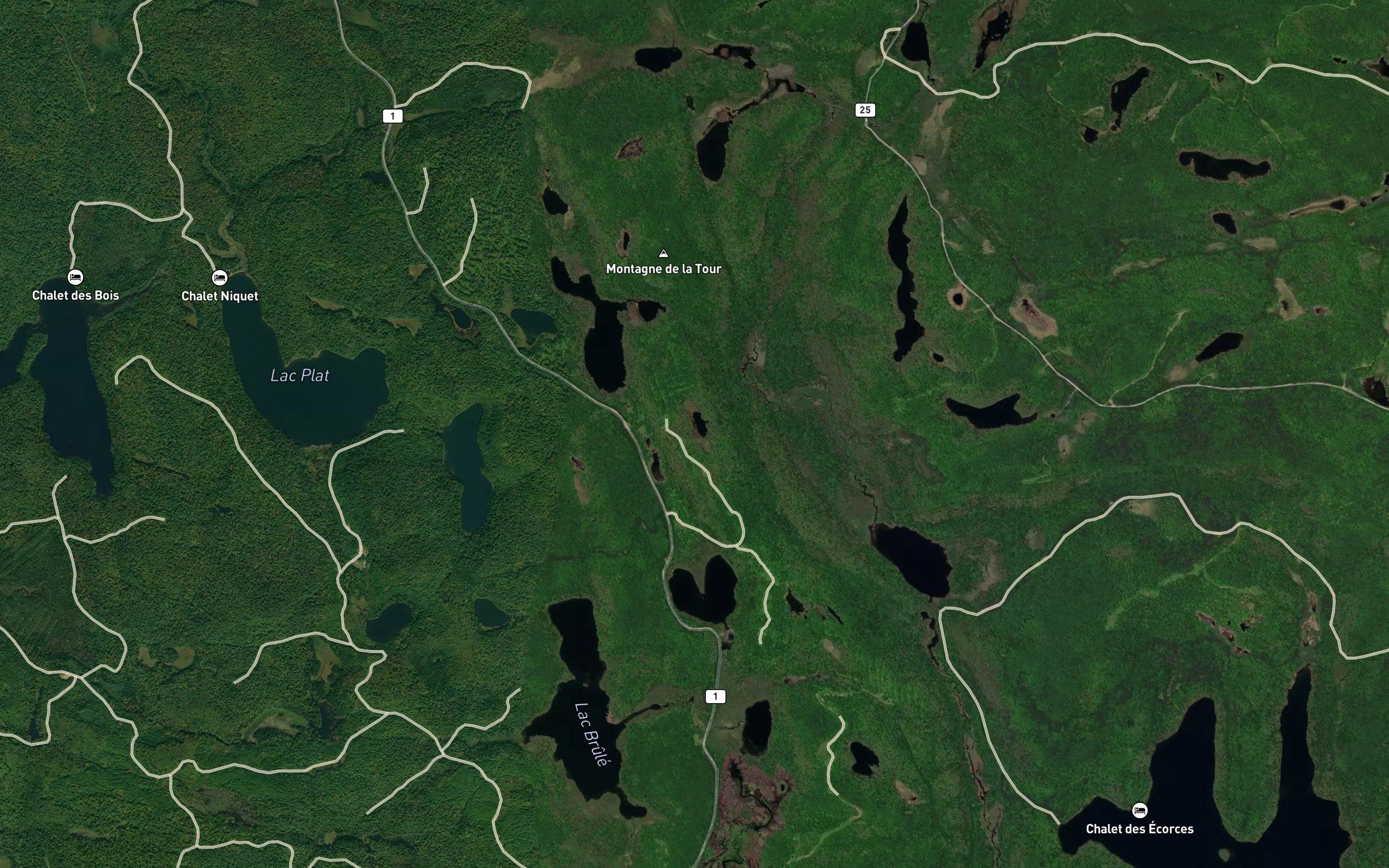 Etang de l'Engoulevent