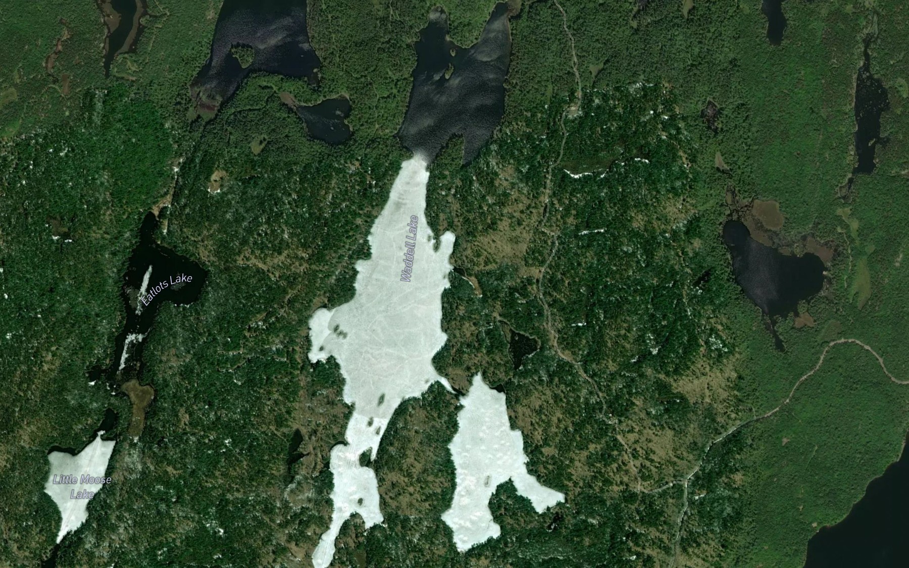 Satellite map of the Waddell Lake