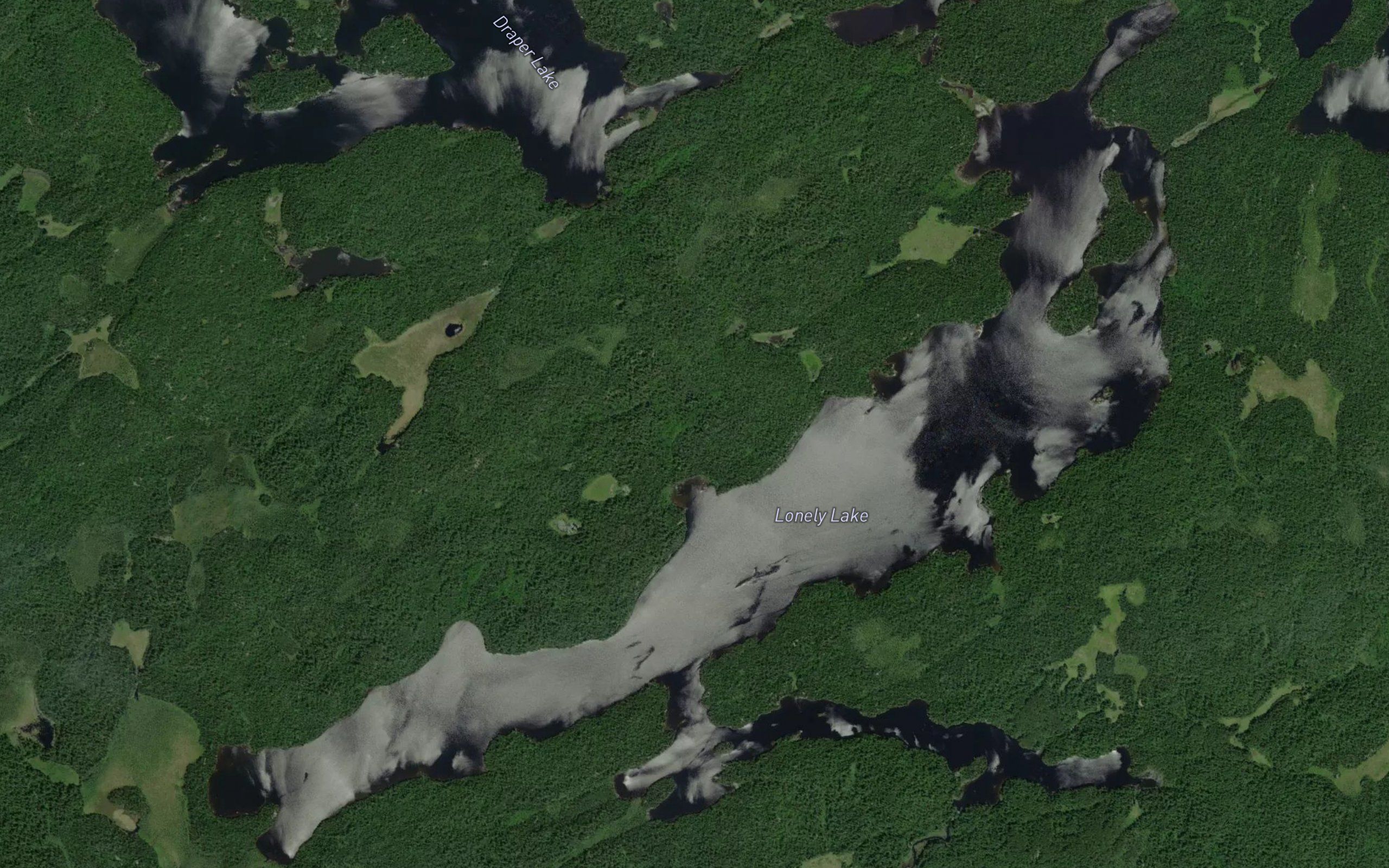 Lonely Lake