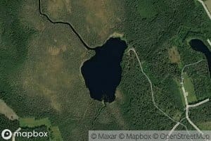 Heinalampi