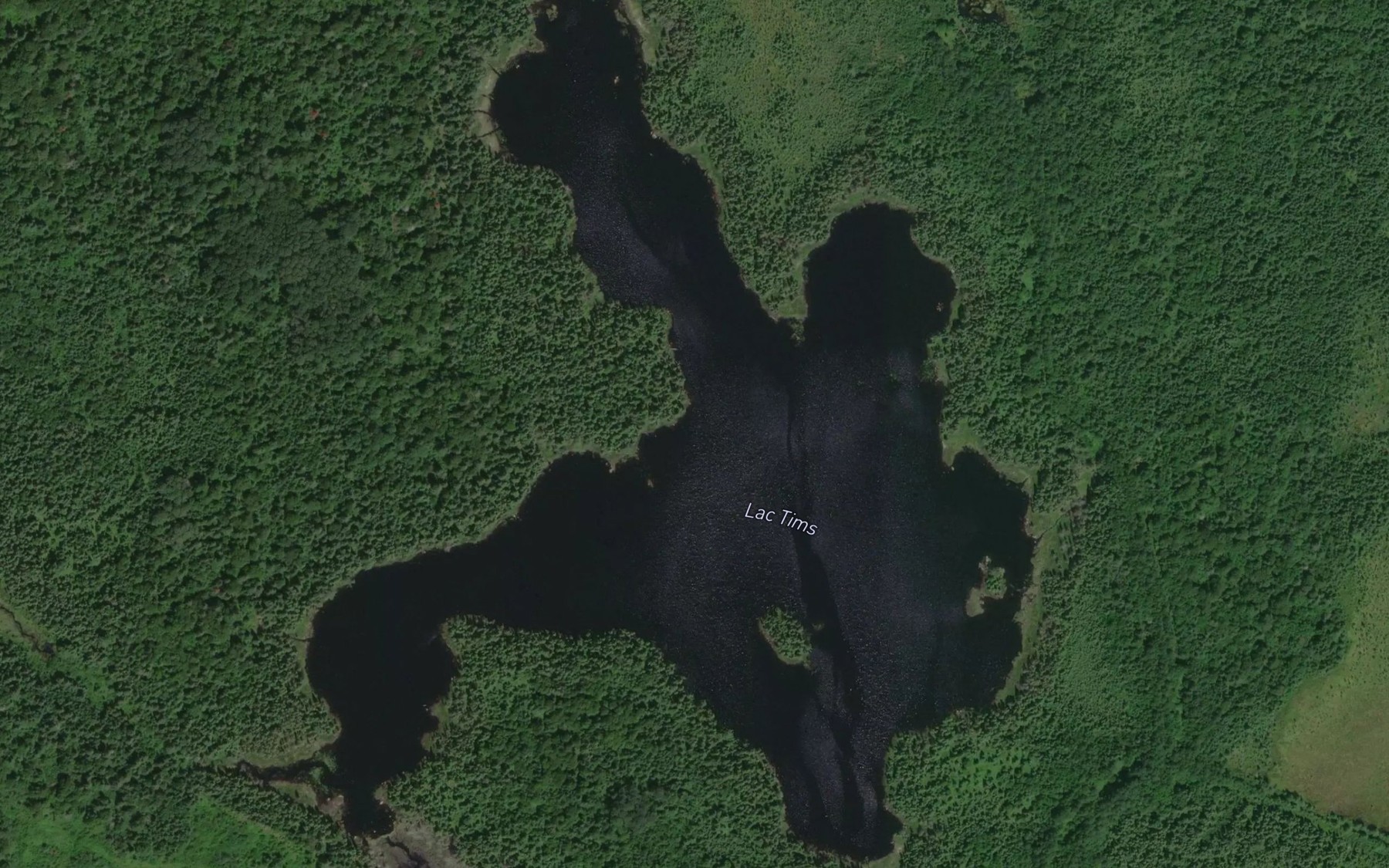 Satellite map of the Lac Tims