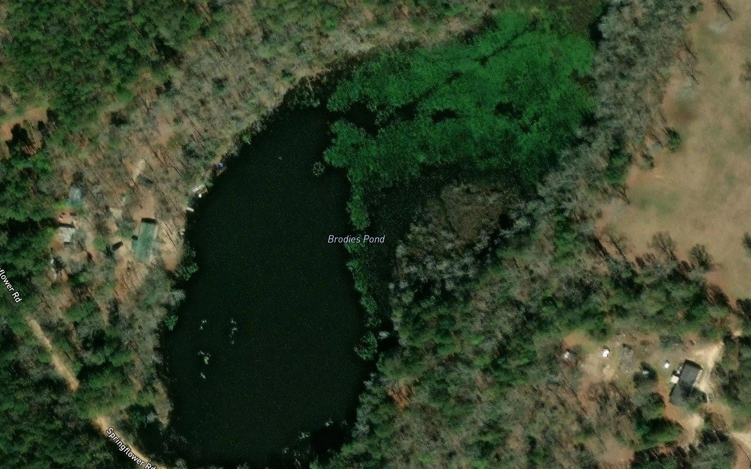 Brodies Pond