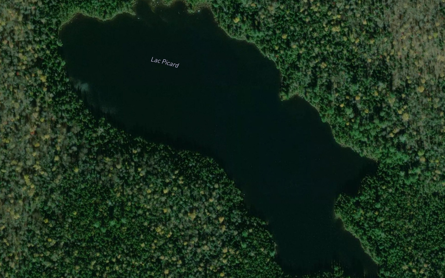 Satellite map of the Lac Picard