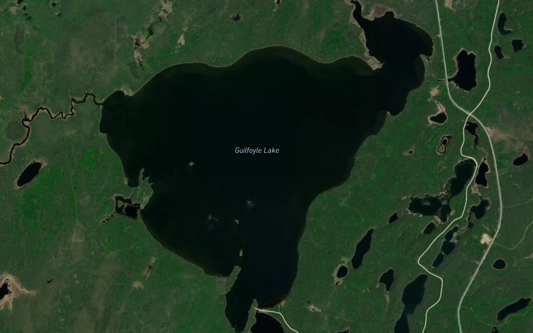 Satellite map of the Guilfoyle Lake