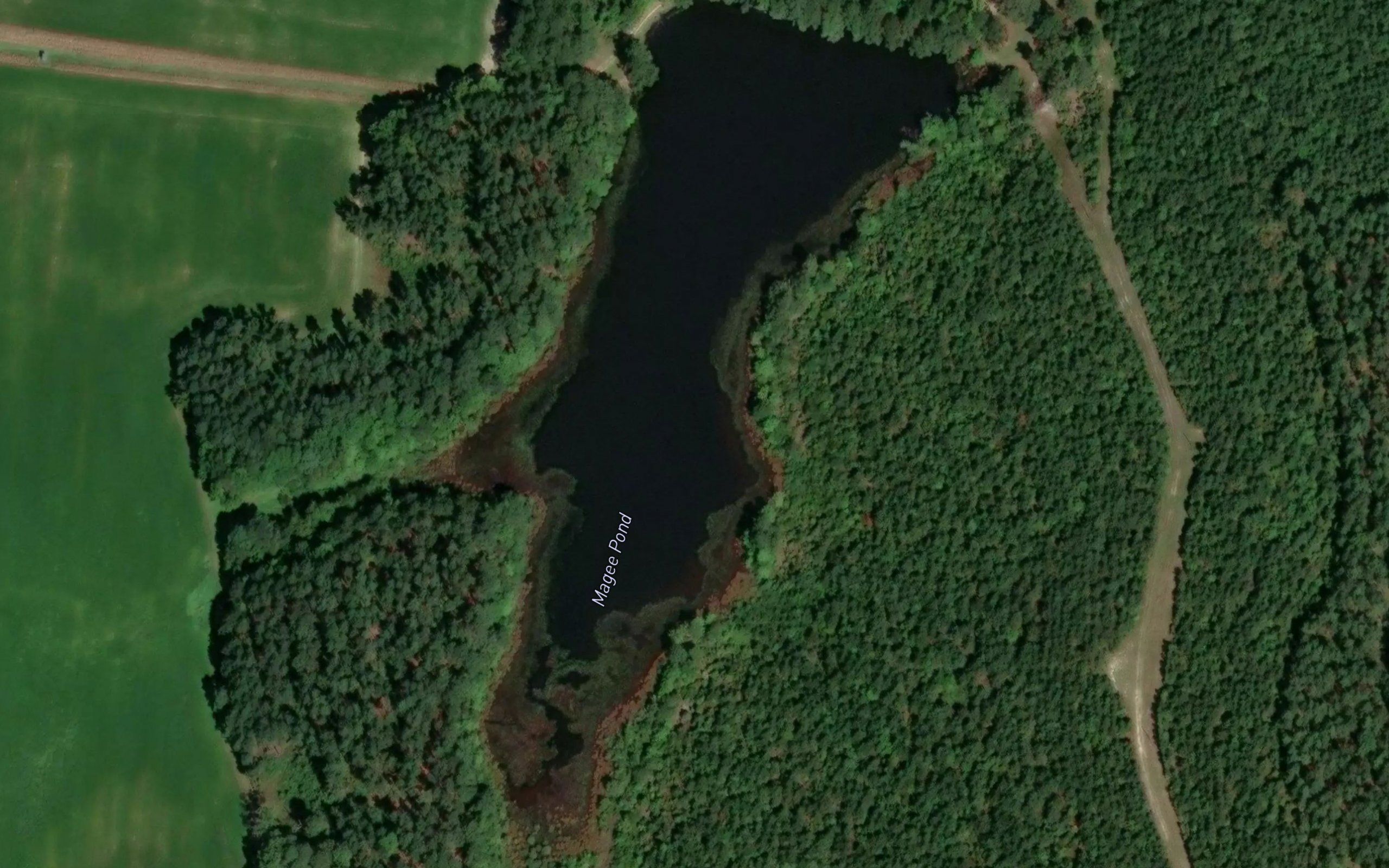 Magee Pond