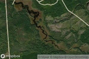 Cut Pond Brook