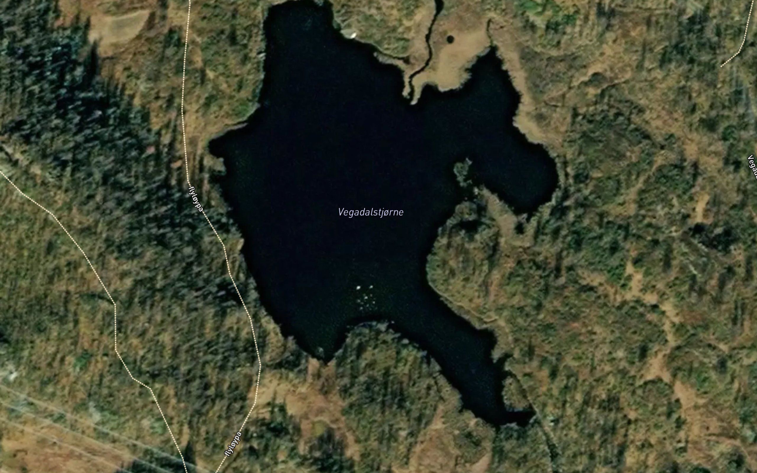 Vegadalstjodne