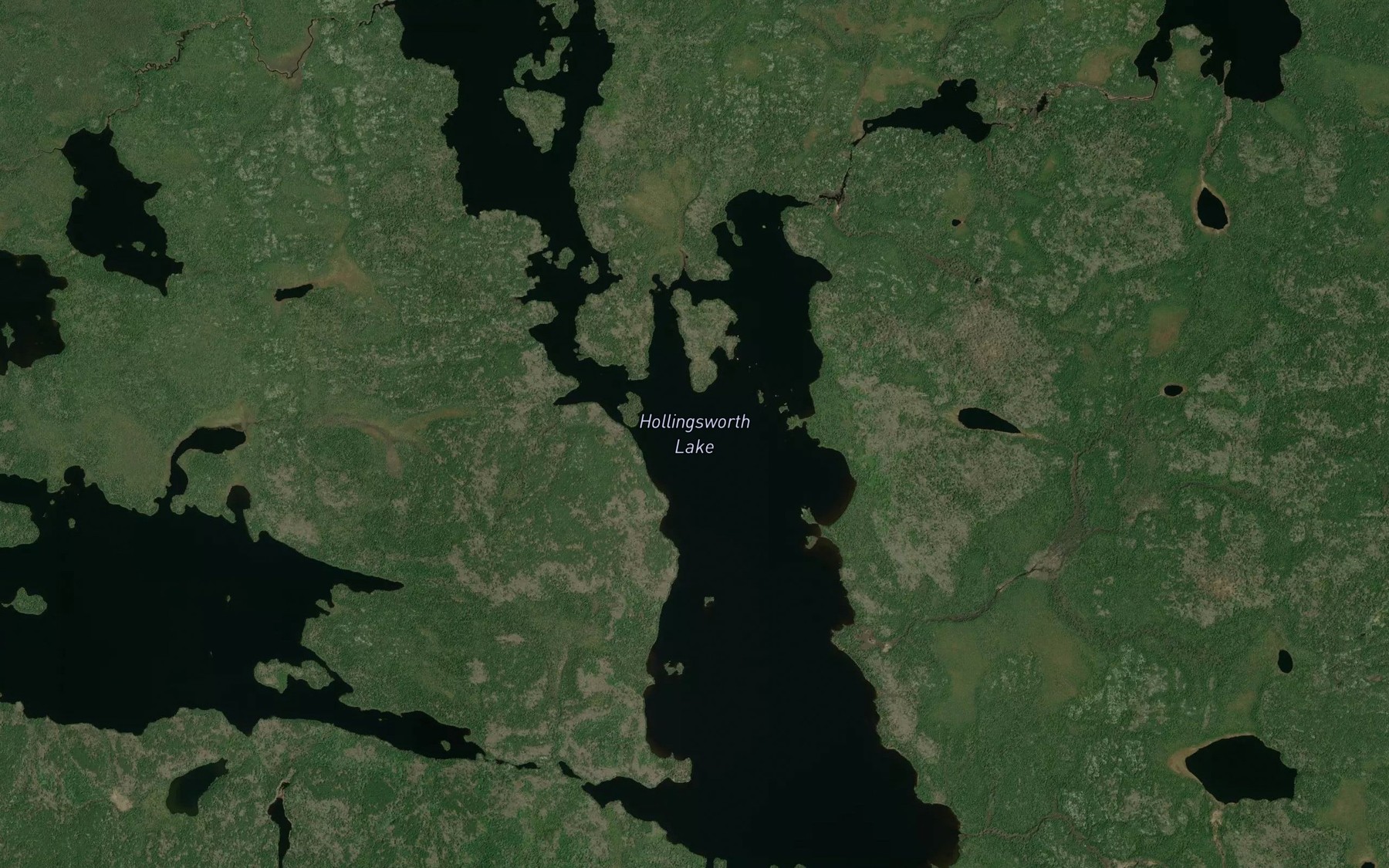 Satellite map of the Hollingsworth Lake