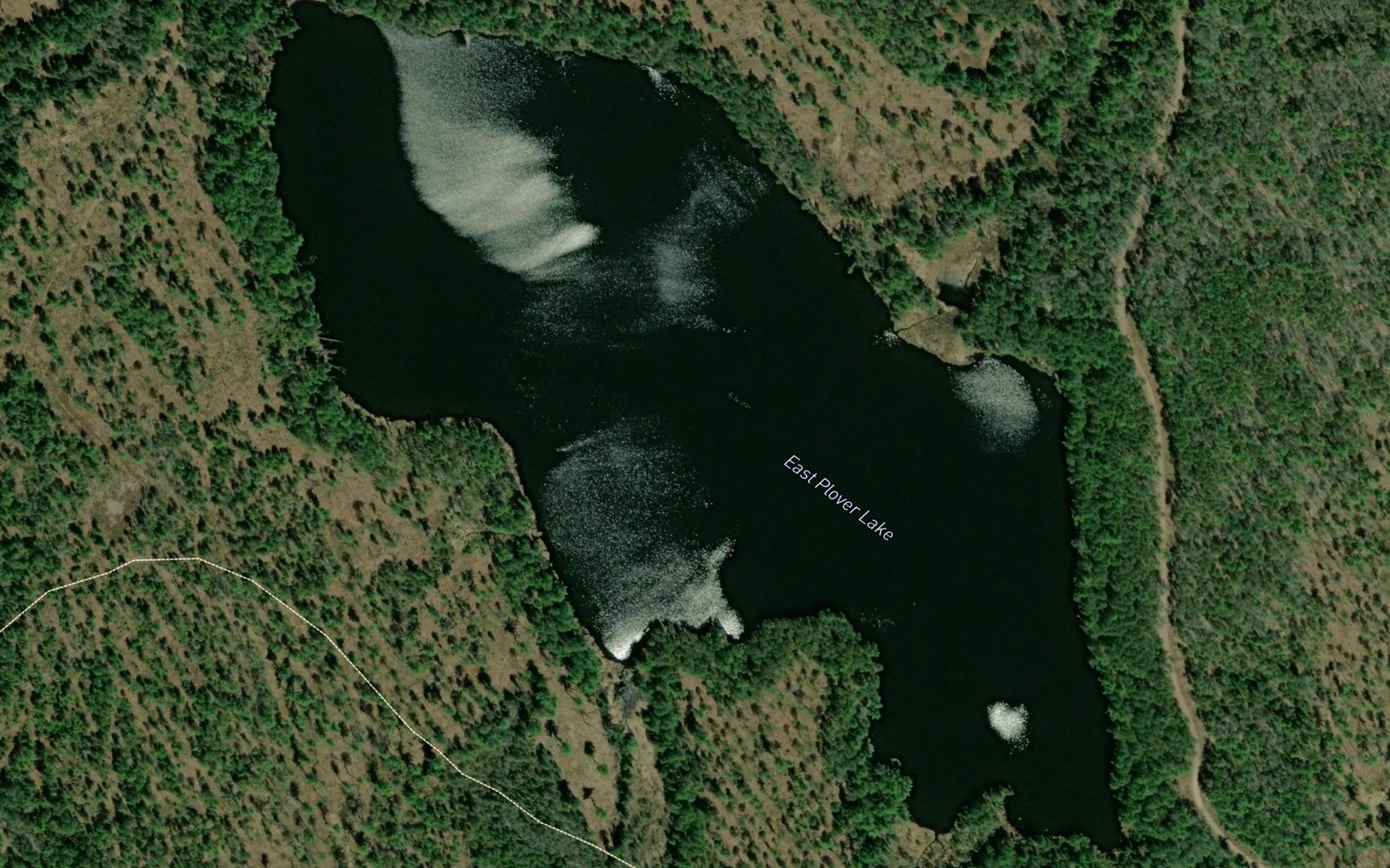 Satellite map of the East Plover Lake