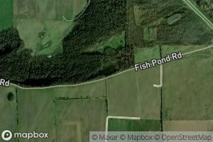 Fish Pond