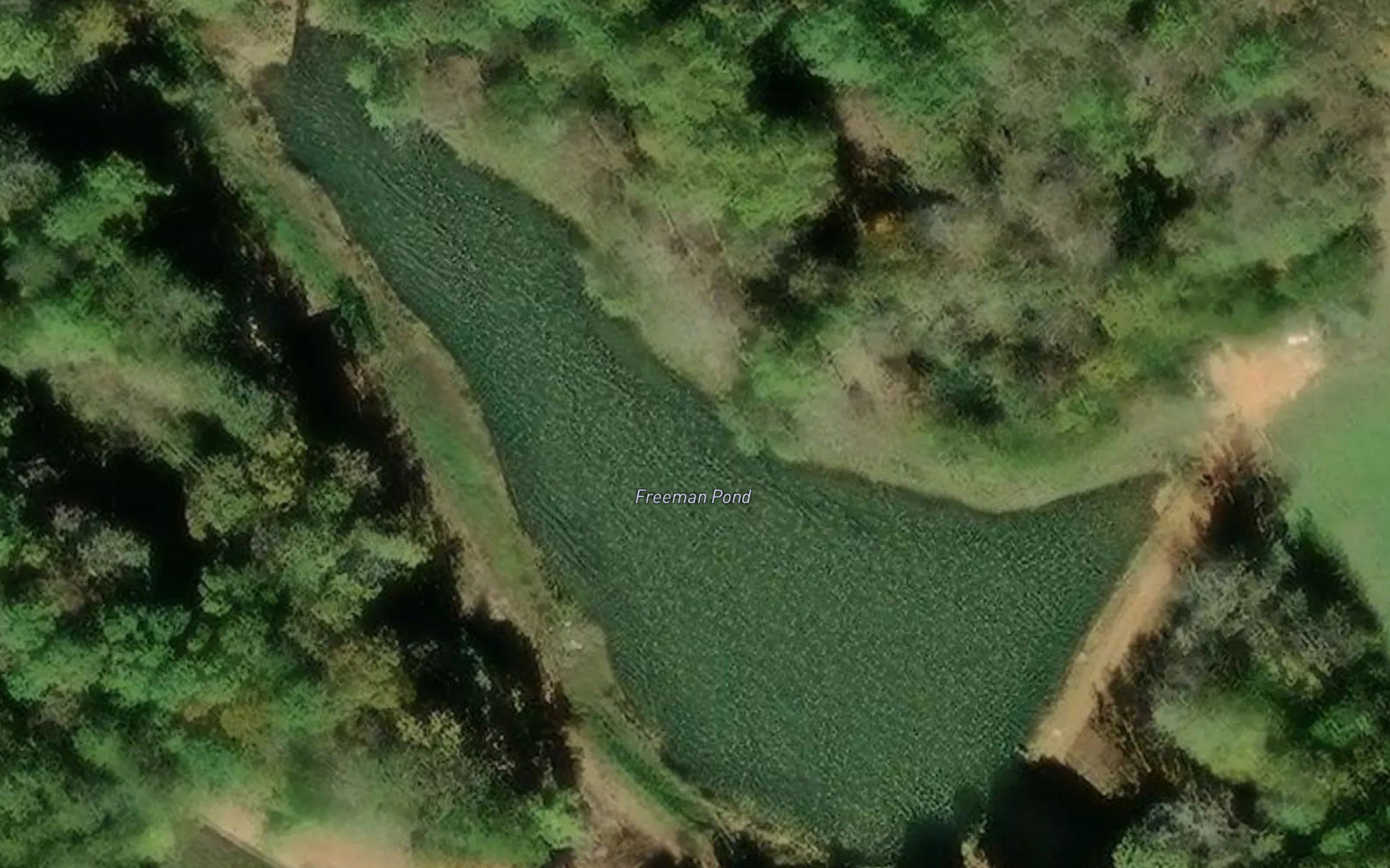 Freeman Pond
