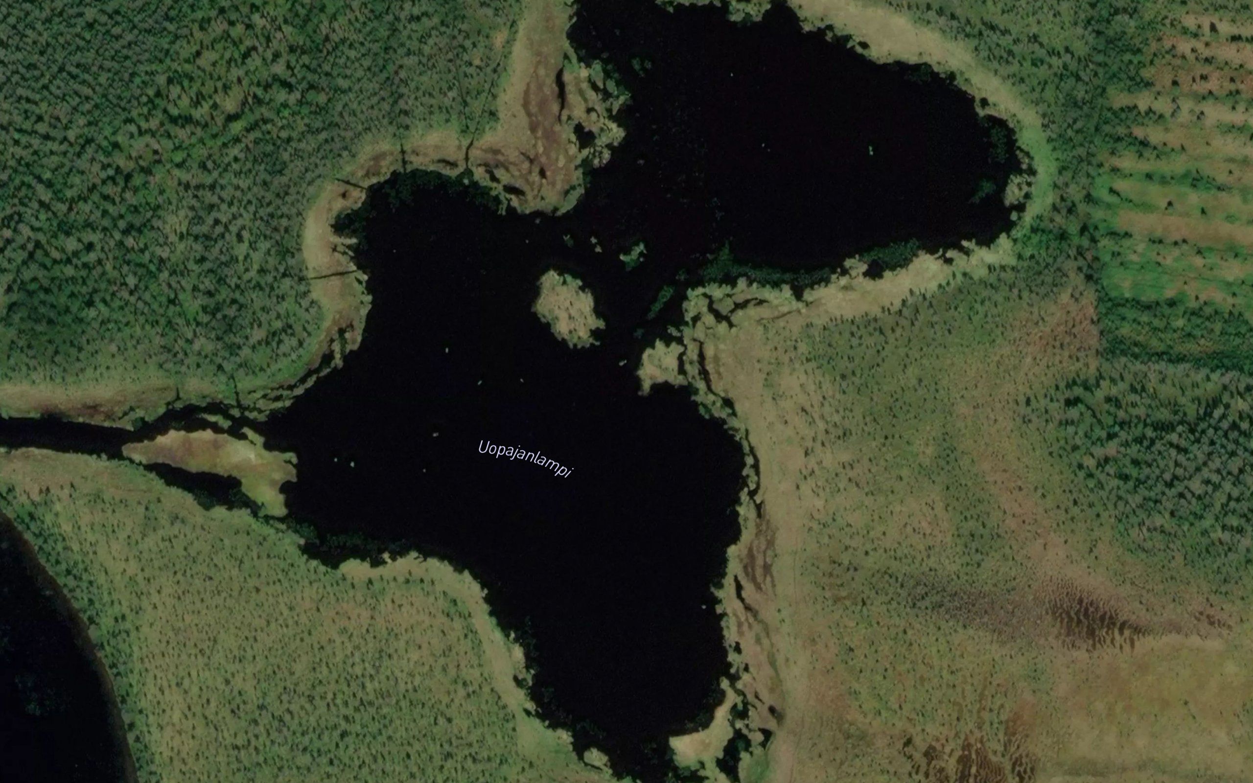 Uopajanlampi